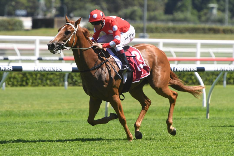 Edinburgh Park Thoroughbred Stud Manning Valley NSW Australia