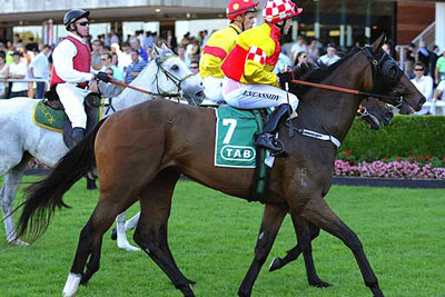 Randwick Winners circle for Edinburgh Park Thoroughbred Stud horse Rose of Cimmaron