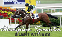SILENT WITNESS Champion Sprinter in Hong Kong