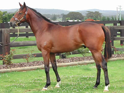 Lot 188 --- Made of Gold (USA) - Innocent Age (NZ)